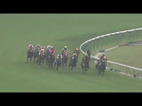 ラインクラフト 2006年 第1回ヴィクトリアマイル(GI) (優勝馬：ダンスインザムード)