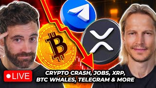 Crypto News: Jobs Crash Crypto, Bitcoin Whales, Crypto Liquidations, XRP & More!