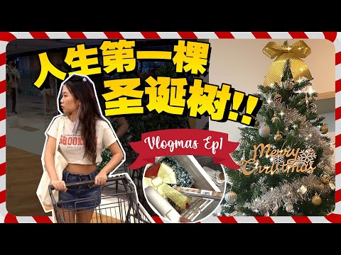 🎄Vlogmas Ep1// 终于拥有自己一棵圣诞树啦!!! 迎接圣诞节的来临 (2022)