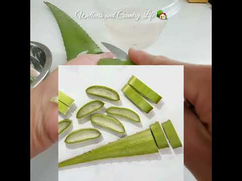 How to Prepare and  Use Aloe Vera