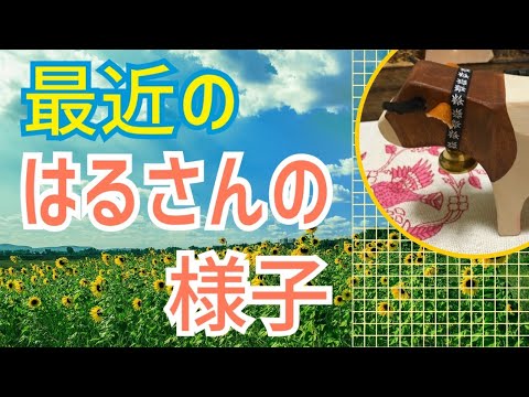 最近のはるさんの様子💕😆🌈