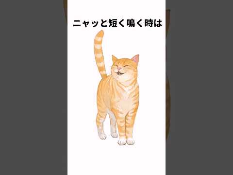 鳴き声で分かる猫の心理雑学 #雑学#shorts