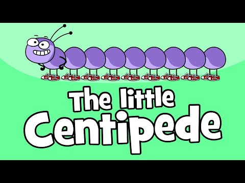 ♪♪ Centipede Children's Song | Funny Animal Songs | Hooray Kids Songs & Nursery Rhymes | Animals