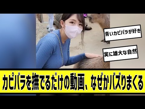 なぜかバズり散らかしたカピバラ動画に対する2chの反応まとめ【なんＪ2chまとめ】#なんJ#2chまとめ#ネットの反応