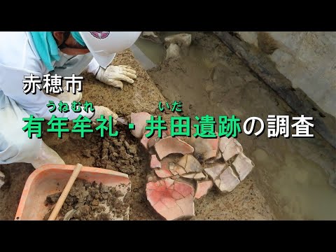 【発掘！ひょうごの遺跡】赤穂市有年牟礼・井田遺跡の調査