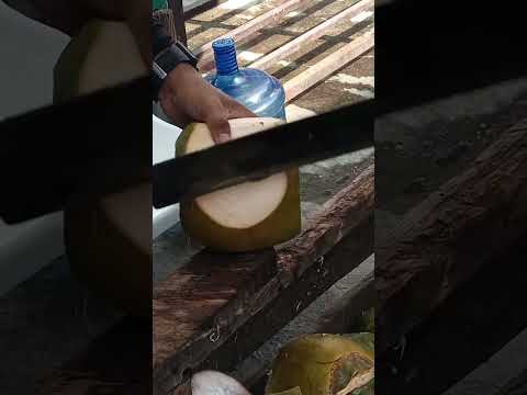 super amazing coconut cutting skills Asmr #cuttingskils #streetfood #youtubeshorts @GatchieJr33