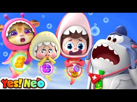 It's Not Food, Baby! |  Baby Shark Doo Doo Doo | Safety Song | Nursery Rhymes & Kids Song | Yes! Neo