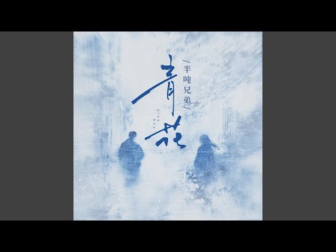 青花 (DJ豪大大版)