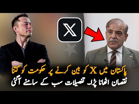 How Much Loss Pakistan Bear After X Ban, Economy | Pak News | Pakistan News Economy