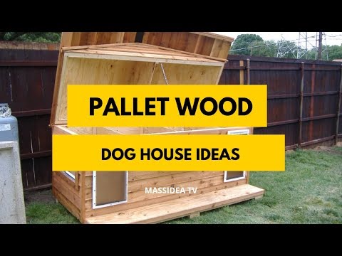 50+ Creative Pallet Wood Dog House Ideas for Home