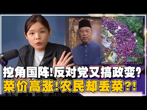 12国阵议员要跳槽？伊党反对东马建赌场！为何农民宁愿丢菜，都不要便宜卖？【新闻随便看26/4】