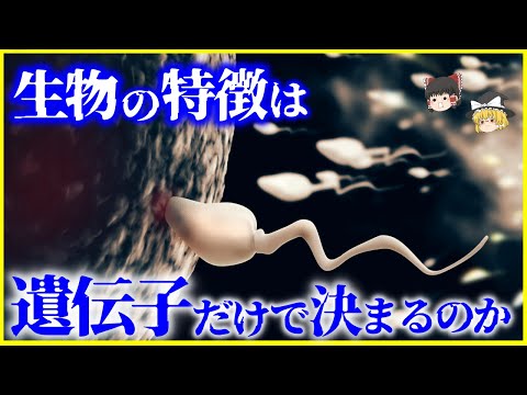 【ゆっくり解説】親の経験が子に遺伝する？生物の特徴を決めるのは「遺伝子」だけなのか？を解説/DNAのスイッチ「エピジェネティクス」とは？