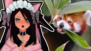 Tricky Reacts to the Cutest Animals!