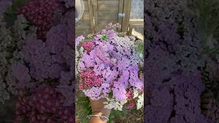 Lovely Perennial Flower / Yarrow #growflowers #cottagegarden #floralart #gardening #beautiful