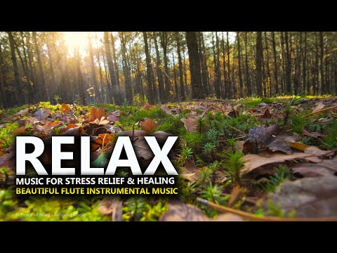 Relaxing Flute Music for Stress Relief l Beautiful Flute Music l Calming Music l Soothing Music