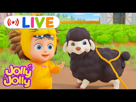 LIVE🔴Baa baa black sheep - Learn Colors + More | Jolly Jolly & Animals - Best Kids Songs!