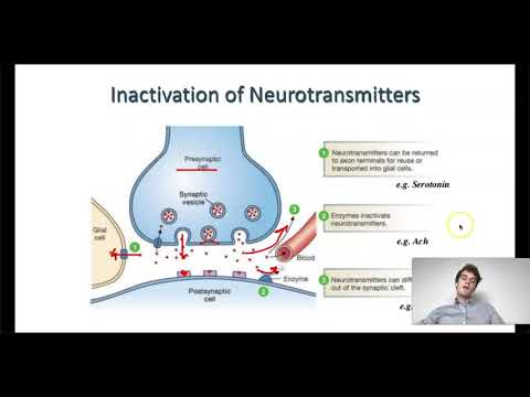 MCAT Question of the Day: Dopamine