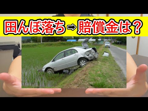 田んぼに車ごと落ちたら人生終了するってホント？ #田んぼに落ちた