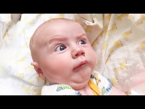 Funniest Baby Videos of the Week - Try Not to Laugh Challenge!