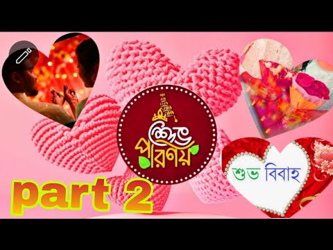 Bengali Rituals in Marriage Vlog BIBAHA