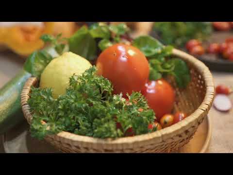 🍅🍆How To Start A Productive Vegetable Garden?🥒 | Useful Tips Ever |  #youtubevideo