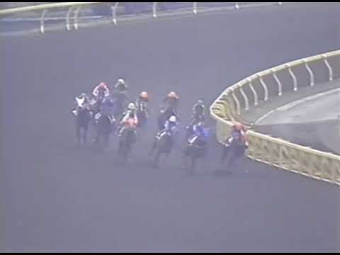 ヤマニンゼファー 1991年 4歳以上900万下 (優勝馬：キョウエイブランド)(実況：ラジオたんぱ)