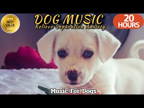 20 HOURS of Dog Calming🐶🎵Peaceful Sounds for Nervous Pups💖 Comfort from Anxiety⭐Healingmate