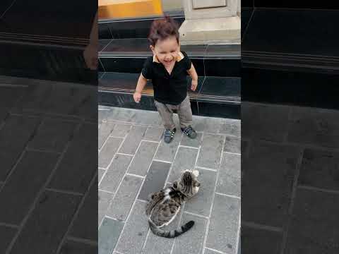 Adorable Little Boy Plays With Kitten!