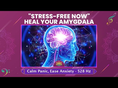 "Stress-Free Now" Heal Your Amygdala - Calm Panic, Ease Anxiety - Soothing Relaxation Music - 528 Hz