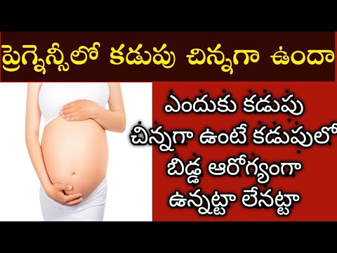 baby bump during pregnancy|ప్రెగ్నెన్సీ లో కడుపు చిన్నగా ఉంటే కడుపులో బిడ్డ ఆరోగ్యంగా ఉందా లేదా||