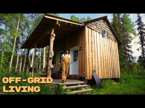 Summer Cabin Life Alone In Alaska | ASMR | Firewood, Fishing, Catch & Cook, Building