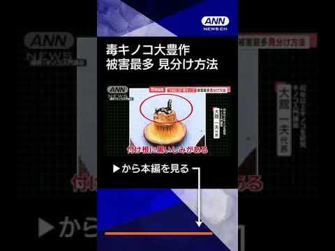 【ニュース】恐怖の毒キノコ“大豊作”　「内臓破壊」「呼吸困難」の恐れ　食べた家族が全員入院も#shorts