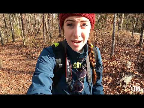 Baker Hollow Branch - Virtual Hike