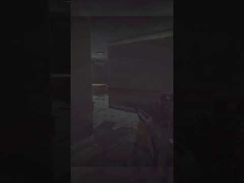 Tarkov bugs are FREE KILLS