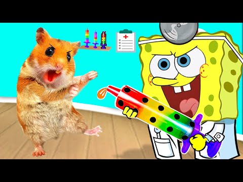 🐹 Hamster Maze with Traps 😱MINECRAFT WORLD!😱 Hamster Pretend A Doctor Check Up SpongeBob