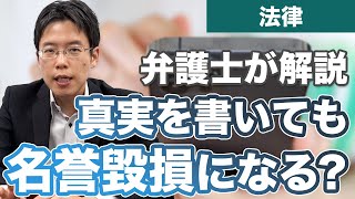 真実を書いても名誉毀損になる？名誉毀損が成立する条件とは？