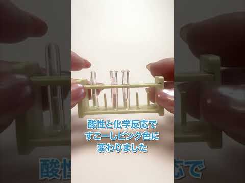 ミニ【化学実験】試験管  研究マスコットガチャ Mini [test tube] chemistry experiment Capsule toy #shorts