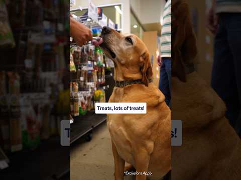 It’s Black Friday in July at Petco! 🛍️ #dog #petco #blackfriday