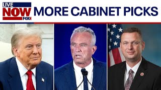 Trump Cabinet: RFK Jr, Doug Collins, Todd Blanche & other nominated for roles | LiveNOW from FOX