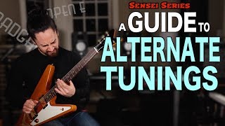 A Guitar Players Guide to Alternate Tunings