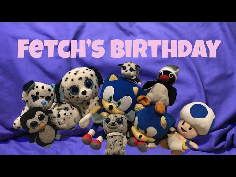 Fetch's Birthday