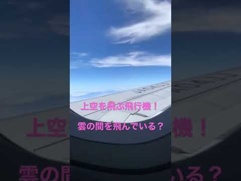 上空を飛ぶ飛行機！雲と雲の間を飛んでいる瞬間！！　#shorts