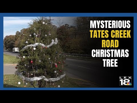 Mystery Christmas Tree Spreads Cheer