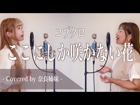 【女性がハモって歌う】ここにしか咲かない花 / コブクロ Covered by 奈良姉妹