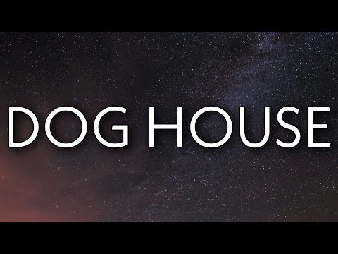 24kGoldn - Dog House (Lyrics)