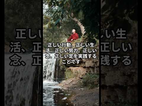 仏教の教えとは何か？どのように実践するのか？さっそく見てみましょう！ #金運 #気づき #開運 #金運 #気づき #開運