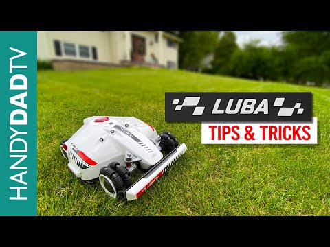 Mammotion Luba Tips and Tricks