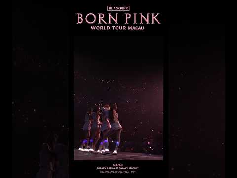 BLACKPINK WORLD TOUR [BORN PINK] MACAU HIGHLIGHT CLIP