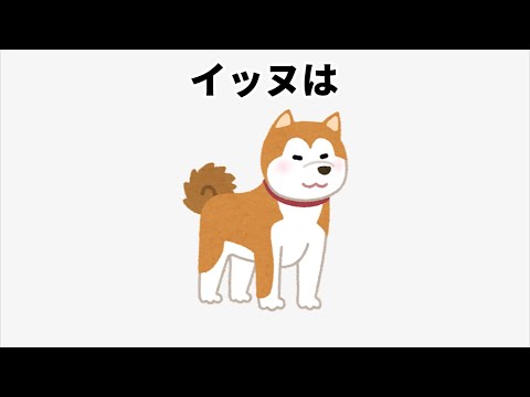 もっと知りたい犬の雑学#雑学