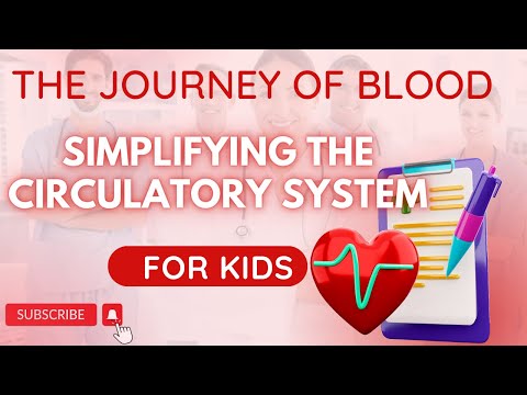 The Journey of Blood: Simplifying the Circulatory System for Kids